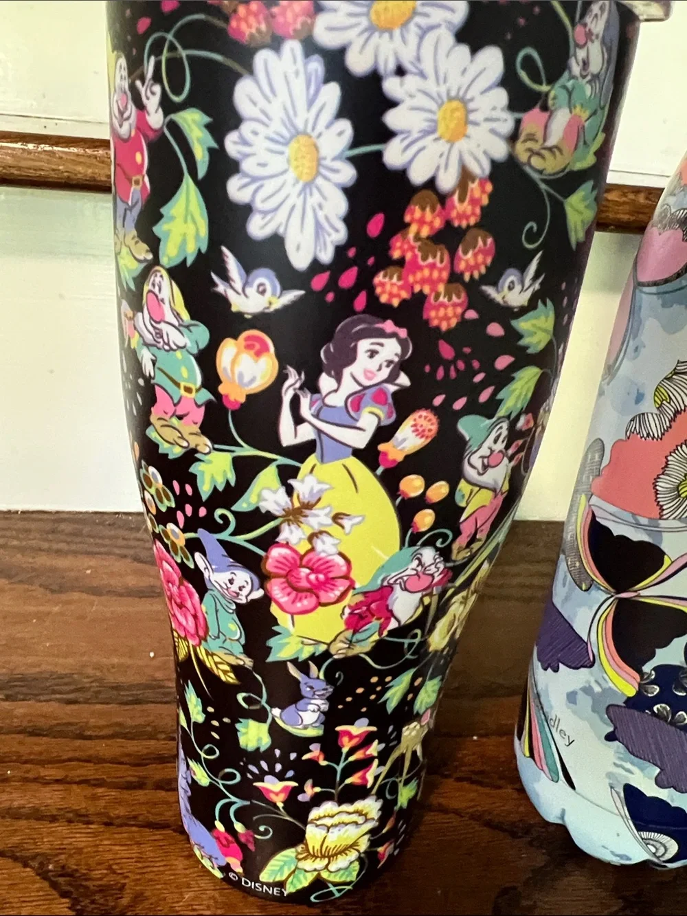 Vera Bradley Insulated Water Bottles-3. 1-Disney
